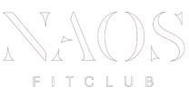 naos logo transparent