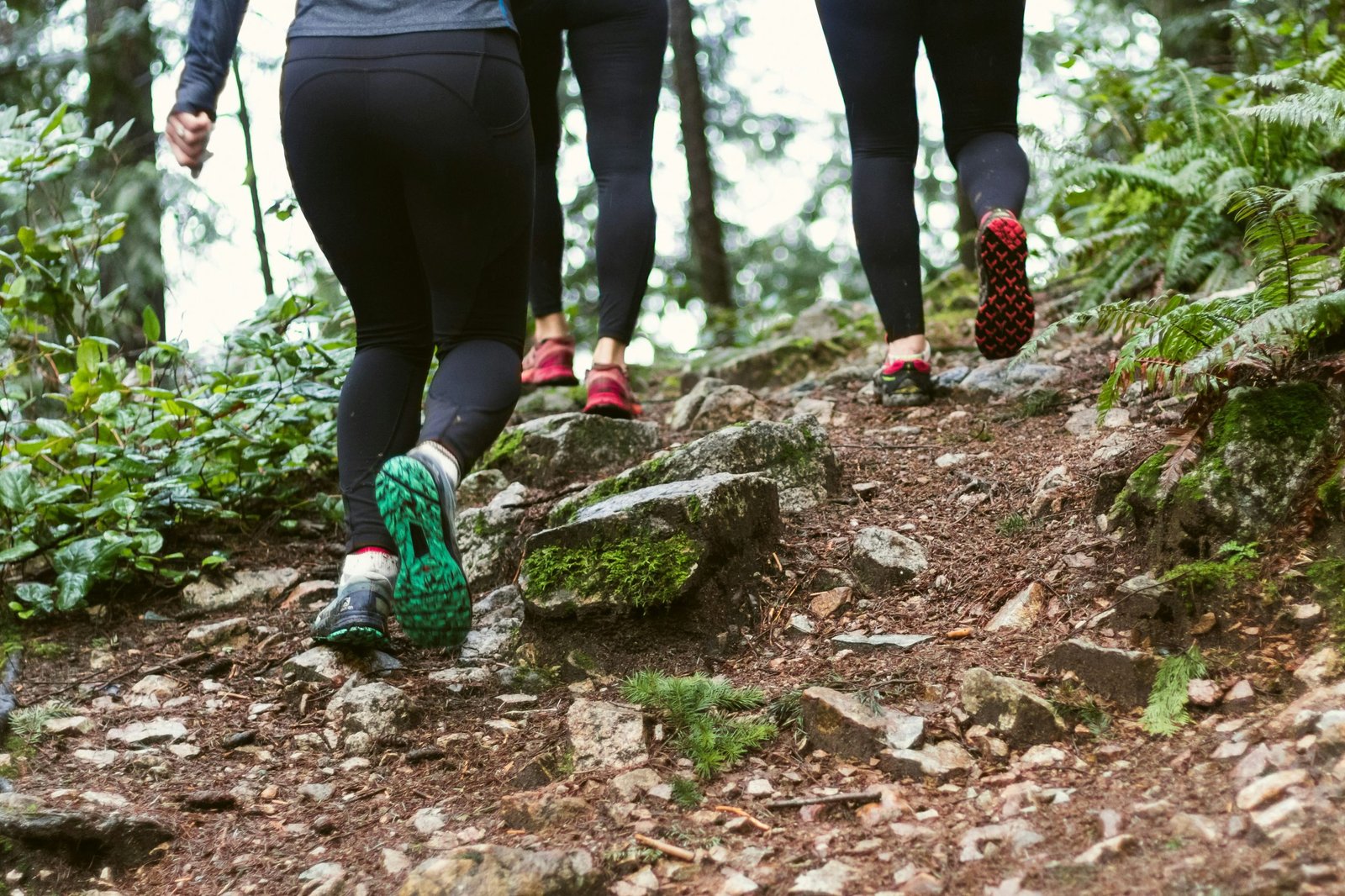 Retraite d’entraînement et de bien-être Naos Groupe en randonnée sur un sentier rocailleux en forêt